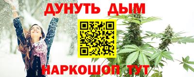 apvp Новозыбков